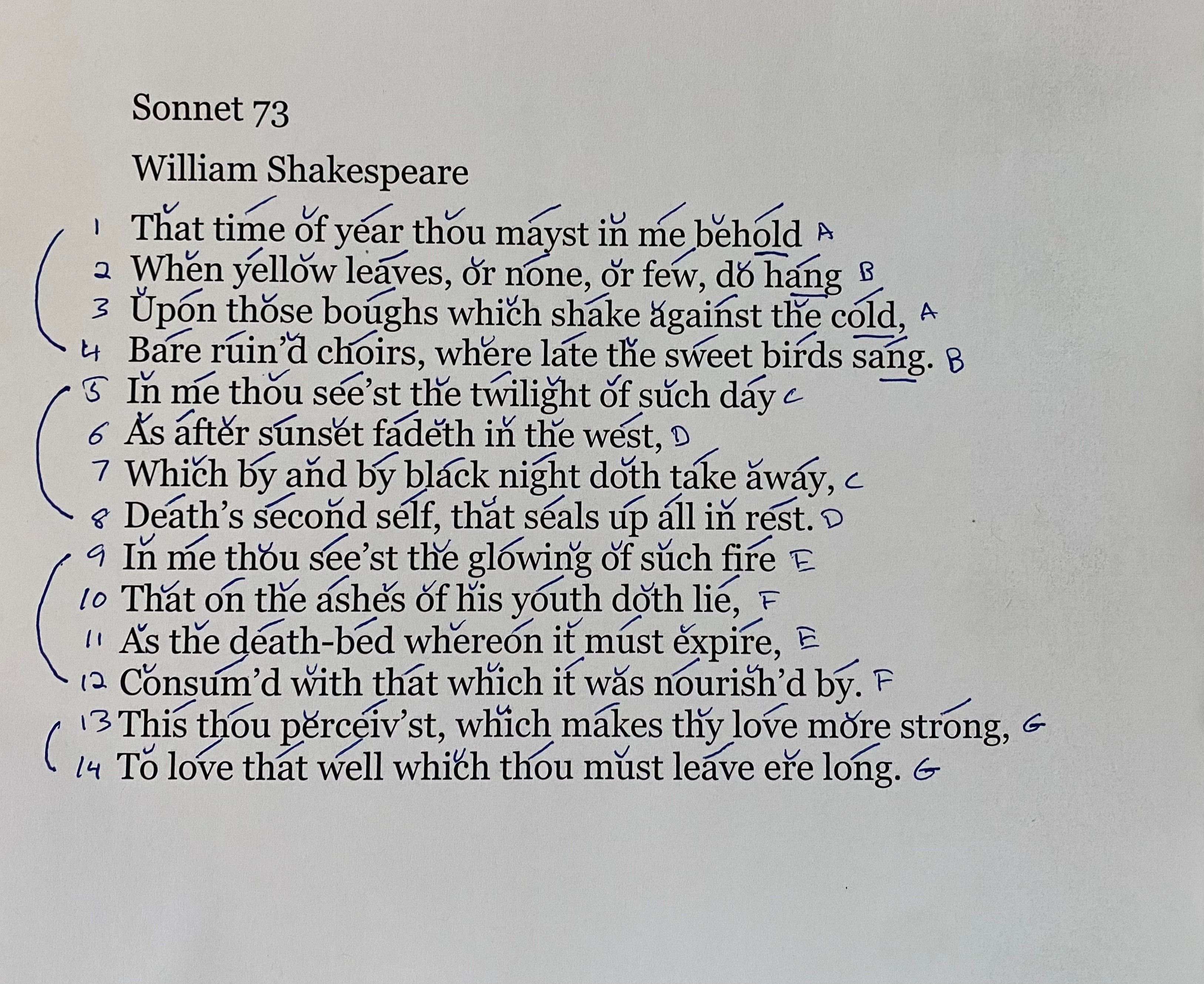 love sonnet in iambic pentameter