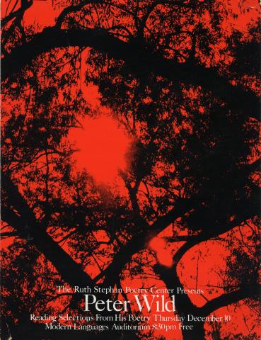 Publicity poster for Peter Wild's reading, featuring black branches on a red background. 